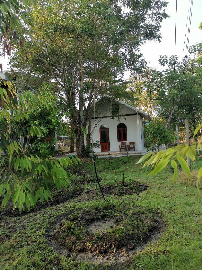 Baangaimuan Bed and Breakfast Lamphun Buitenkant foto