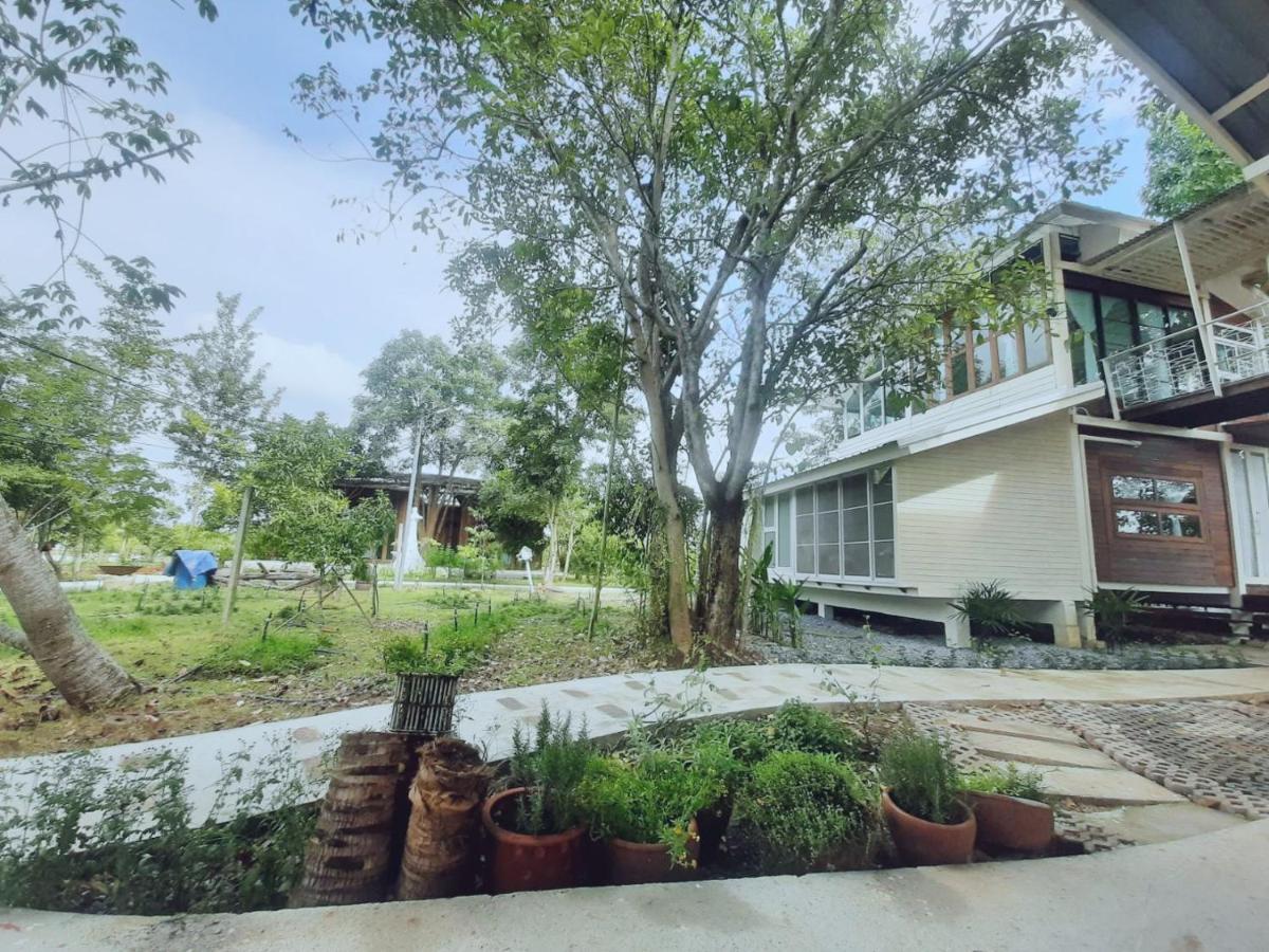 Baangaimuan Bed and Breakfast Lamphun Buitenkant foto