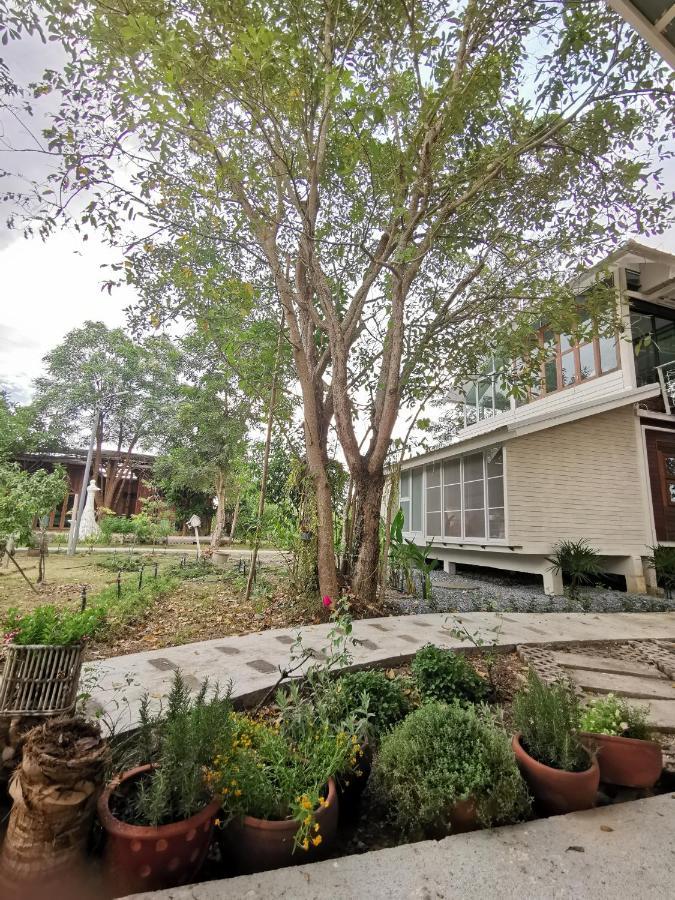 Baangaimuan Bed and Breakfast Lamphun Buitenkant foto