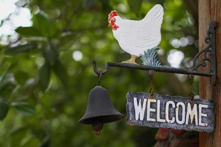 Baangaimuan Bed and Breakfast Lamphun Buitenkant foto